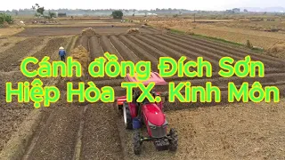 CÁNH ĐỒNG NGÀY MÙA