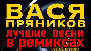 Вася Пряников - Лучшие песни в ремиксах (The Remix Album)