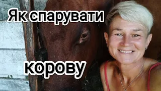 Не парується корова❓Тоді Вам сюди☝️Насправді все дуже просто 💥Я з вами поділюся ♥️