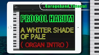 Procol Harum - A Whiter Shade Of Pale (organ intro) | Remake in Garageband  | iPad/iPhone iOS