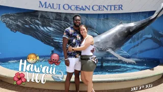 We went to an Aquarium in MAUI | MAUI OCEAN CENTER in HAWAII