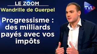 Wokisme, immigration : le vrai coût du progressisme - Le Zoom - Wandrille de Guerpel - TVL