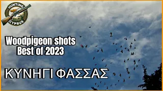 Κυνήγι Φάσσας:  Best Of 2023 (Hunting Woodpigeon, Caccia al colombaccio, Chasse au pigeon ramier)
