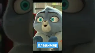 кот под прикрытием #Владимер#Гектор#