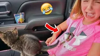 Funny Cats || Dont Try To Stop Laughing || Funniest Cats Ever