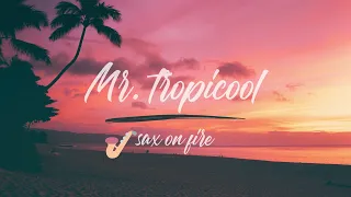 Tropical Sax On Fire 🎷🔥  / Ehrling - Mr. Tropicool_dj Mix