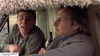 Dumb & Dumber "drinking urine buzz" scene