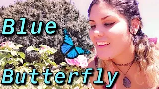 Messages From A Blue Butterfly