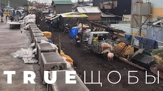 Филиппины #07 | Трущобы Легазпи, вулкан Майон, итоги поездки,