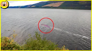 They Captured A Mysterious Creature On Camera That No One Would Have Believed