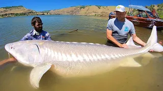 The BIGGEST FISH OF MY LIFE!!!