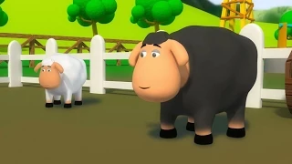 Baa Baa Black Sheep | 3D Nursery Rhyme | Cartoon Videos For Toddlers by Kids Tv
