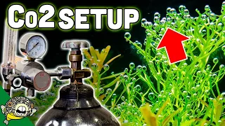 How To Set Up Aquarium Co2 System - The EASY Way