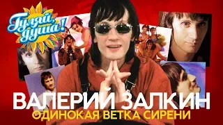 Валерий Залкин - Одинокая ветка сирени - Душевные песни