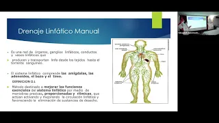 TALLER CURSO MODULAR COSMIATRIA - CLASE 14