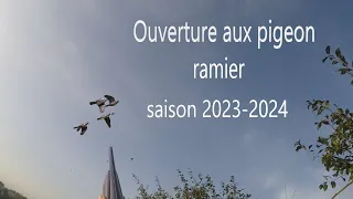 Ouverture Aux Pigeon Ramier Saison 2023-2024