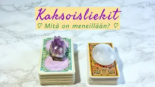 KAKSOISLIEKKI 🔥🔥 Mitä on meneillään? 🌟 Kanavoituja opastuksia 🌟Ajaton 🌈✨