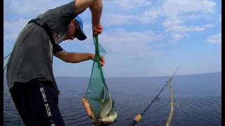 Рибалка на Київському водосховищі, лов ляща та підляща!