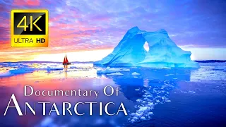 Antarctica - 4K Video - iceberg and Antarctica Life 4K Video Ultra HD - Documentary