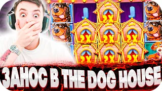 ЗАНОС В The Dog House, Princess Suki! ЛУЧШИЙ БОНУС БАЙ! СЛОВИЛ 600X! ЗАНОСЫ НЕДЕЛИ