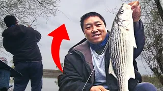 Striper Fishing Sacramento River #fishing #fishinglife #fishingvideo