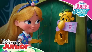 ☕ Haideți la petrecere! | Alice în Cofetăria Minunilor | Disney Junior România