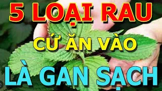 5 LOẠI RAU Là VUA GIẢI ĐỘC GAN, Ăn Tới Đâu GAN SẠCH TỚI ĐÓ, Biết Mà Ăn Sớm Sẽ Trường Thọ 120 Tuổi