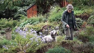 Drawn into the Garden - a short documentary