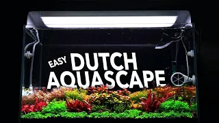 Easy Dutch Style Aquascape 3 Weeks Update