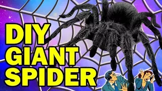 🕷 DIY Giant Spider AKA Aragog AKA HARRY POTTER HALLOWEEN BIT*HES!