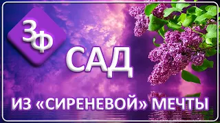 093 Сад из Сиреневой Мечты | Истории Наших Зрителей