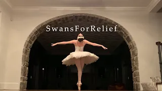Swans For Relief Teaser