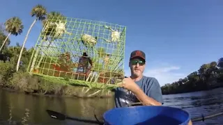 Check out this KAYAK Crabbing- CATCHING 30 BLUE CRABS from a kayak! Early July 2022 Florida Crabbin