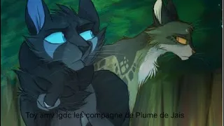 Toy l’es compagne de Plume de Jais amv lgdc