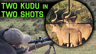 2 Kudu Bulls in 2 shots!