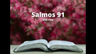 Salmos 91 - Reina Valera 1960 (Biblia en audio)