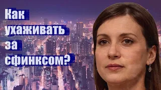 Как ухаживать за сфинксом