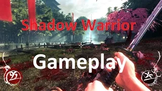 Shadow Warrior Nvidia GeForce GT640 4GB Max Settings 1920x1080 HD