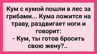 Кум с Кумой Пошли в Лес! Сборник Свежих Смешных Жизненных Анекдотов!