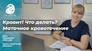 Кровит! Что делать?