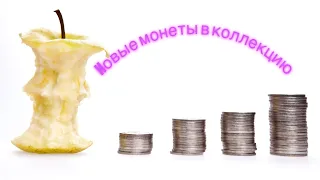 Новое Пополнение коллекции монет