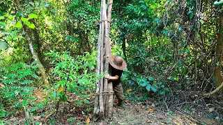 Make bamboo pillows and collect firewood: Survival Alone In The Rainforest | EP.108