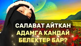 Чексиз сооптор кайдан келет?