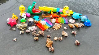 WOW! Find Great Hermit crabs, Conch, Snail, Scallop, Octopus, Starfish, Duck, Lobster, Shark