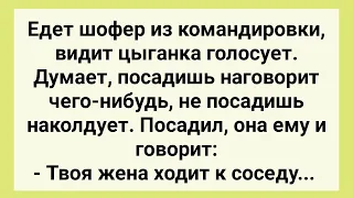 Мужик Подвез Цыганку! Сборник Свежих Смешных Жизненных Анекдотов для Поднятия Настроения!