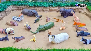 Muddy Adventure: Learn Farm and Wild Herbivore Animals Name & Sounds | Kidiez World TV