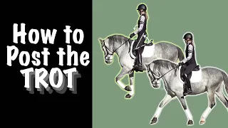 How to Post the Trot