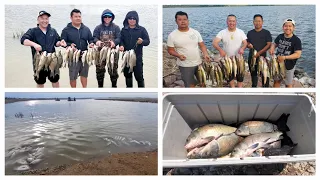 White bass fishing in South Dakota 2020-2023