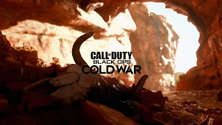 Call of Duty: Black Ops Cold War