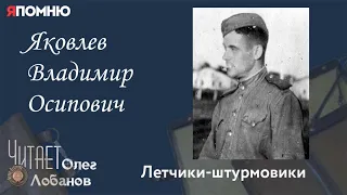 Яковлев Владимир Осипович. Проект "Я помню" Артема Драбкина. Летчики штурмовики.